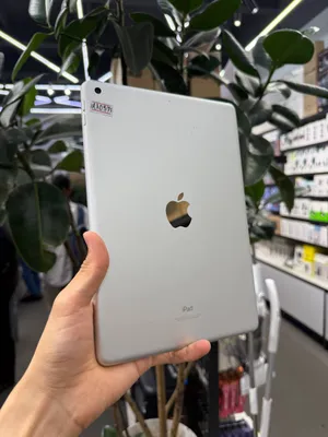 iPad 9 1