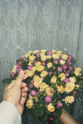 Асаал гуллаар 1