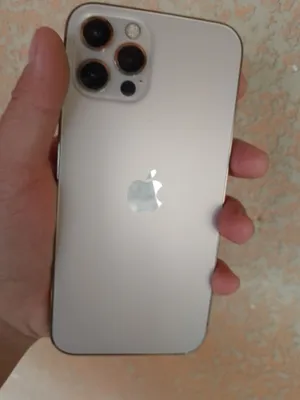 iPhone 12 Pro 1