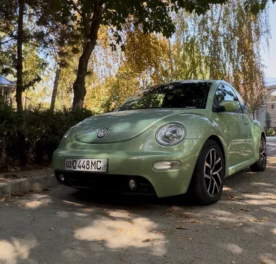 Volkswagen Beetle 1