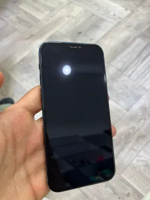 iPhone 12 1