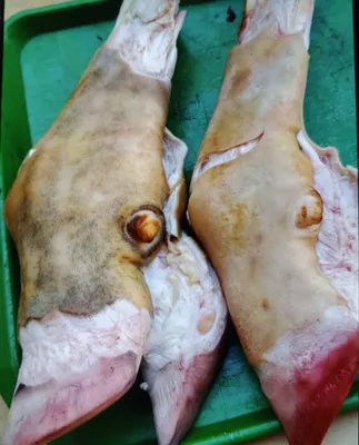 Коровьи ноги 1