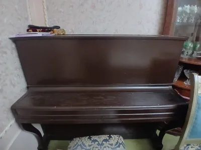 pianino(Belarus) 1