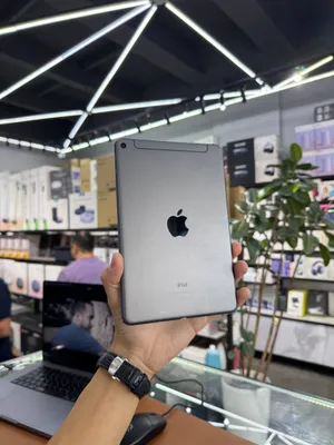 iPad mini 5 256GB 1