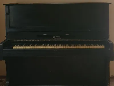 Fortopiano cholg'u asbobi 1