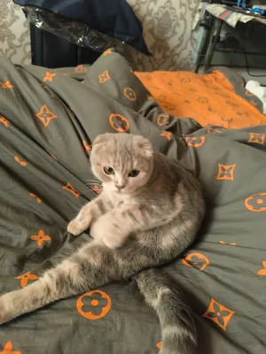 Ташкент