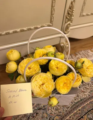 Пионы в корзинке