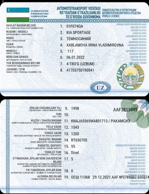 продам автомобиль человеку с головой и руками 1