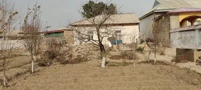 hovli uy sotiladi 4 hona 6sotixdan koʻp 1