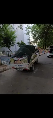 Вывоз мусора. Услуги. Вывоз мусора 24/7 1