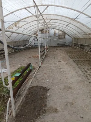 Теплица 8×20 Фаргонада. 1