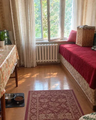 Передержка животных