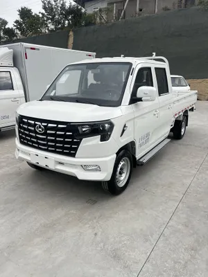 Chamgan star plu dubil 2026 1