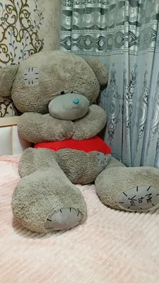 teddy bear 1