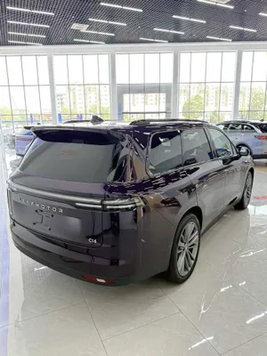 Leapmotor C16 hybrid 200 premium, наличный и честный кредит 1