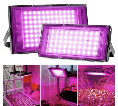 Super chegirma! O‘simliklar uchun 300 Vt fitoprojektor, fito-lampa