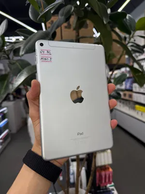 iPad mini 5 1