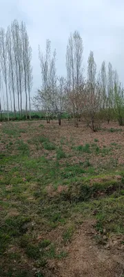 Продаётся земельный участок в Янгиабаде 1