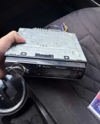 Pioneer dilfin aybi yuq