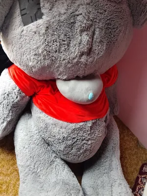 Плюшевый медведь 1