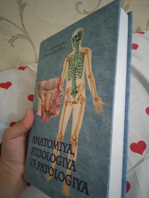 По анатомии 1