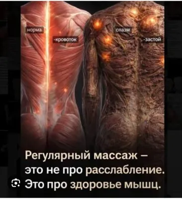 Профессиональный Массаж 1
