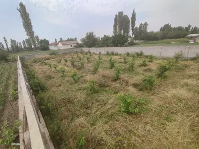 Toshkent viloyati Oʻrtachirchiq Ekologik hududida 1