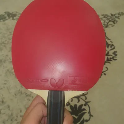 Fan zhen dong ALC Dignics09c 1