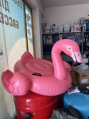 Sotiladi intex flamingo krokodil akula toshbaqa basseyn uchun 1
