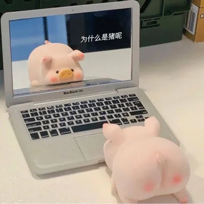 Зеркало в виде MacBook 1
