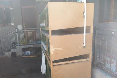 Bedanalar uchun qafas sotiladi 1