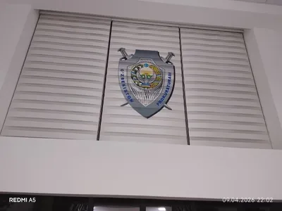 Jalyuzi va pardalar MOYKA 1