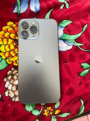 iphone 13 pro max 1