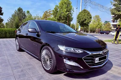 Malibu Premier 2021 1