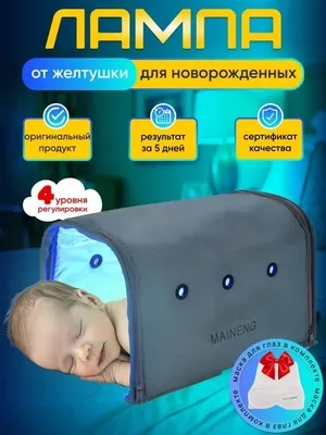 Аренда фотолампы 1