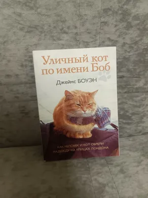"Bob ismli ko‘cha mushugi" kitobi