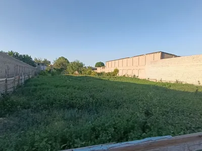 Участок Назарбек (Тарнов) 1