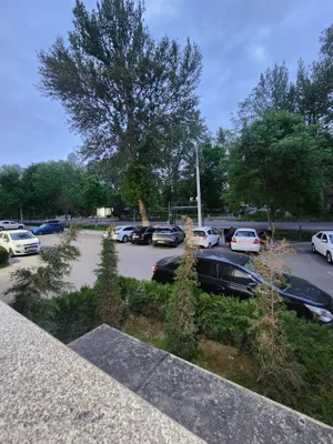 Продаётся готовый бизнес Алкогольный магазин 1