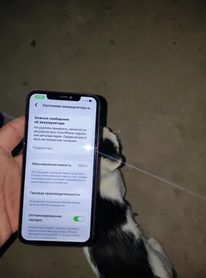 Iphone 11 pro max 1