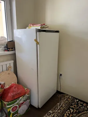 Muzlatkich holati oʻrtacha.