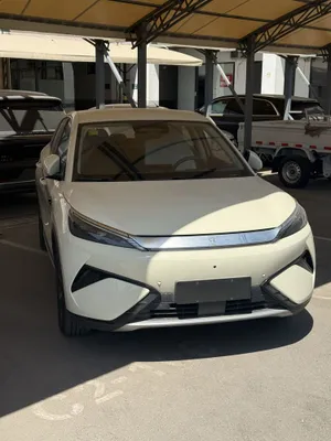 Byd young plus Ev 445km 1