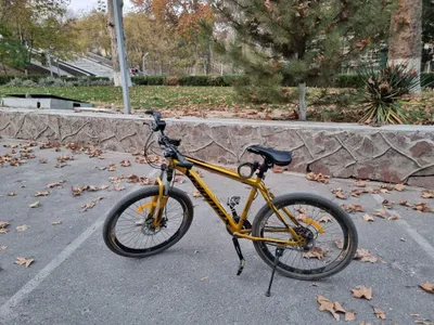 Velosiped (skorostnoy) 1