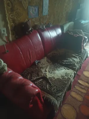 Charm kreslo va divan sotiladi 1