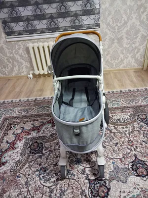 Детская коляска Beleco 2