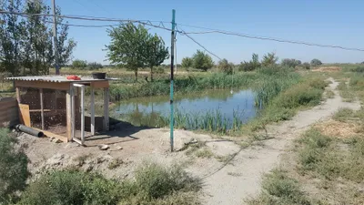 Готовый бизнес по разведению рыбы 1,2 гектара продаётся 1