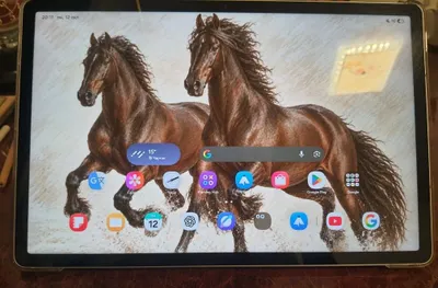 Samsung Galaxy Tab s9 fe + 1