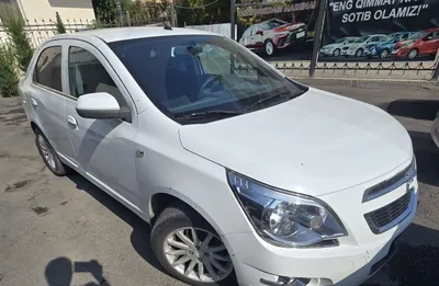 2019 yil Cobalt 1