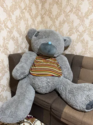 Продаётся плюшевый мишка, возможен торг, срочно 1