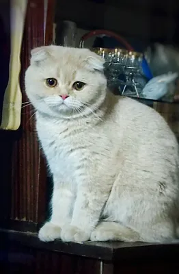 Приглашает на ВЯЗКУ 1