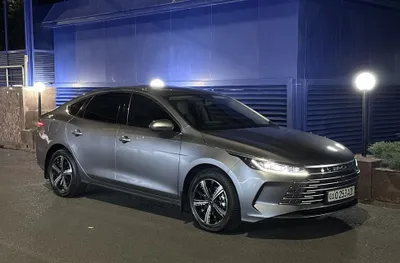 BYD Chazor 120 км 1